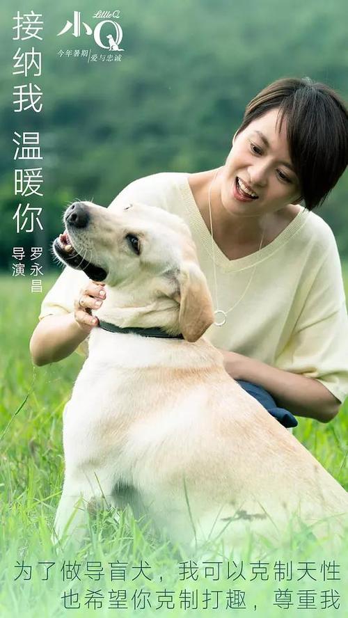 哪里能买到诺依曼大学文凭毕业证